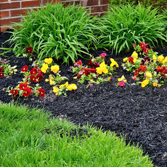 Premium Black Wood Mulch for Landscaping, Gardens, Lawns, Potting Media, and Potted Plants (0.7 CF - 20 L - 21 QTS)