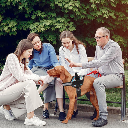 Dogline Dog Harness, Reflective No-Pull Adjustable Vest with Handle for Walking, Training, Breathable, No - Choke Harness for Small, Medium or Large Dogs Room for Patches Aztec Design 2 L 27"-34"