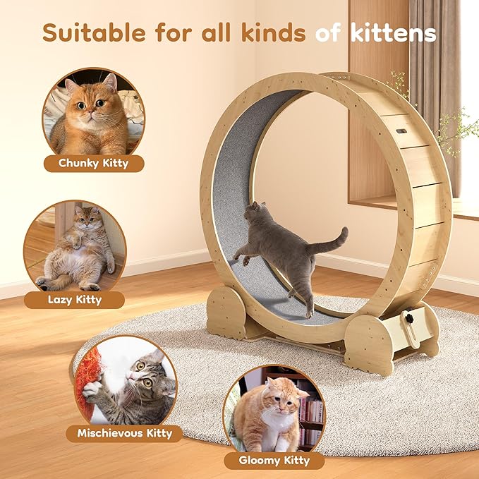 Cat Wheel for Indoor Cats, 46" Large Cat Exercise Wheel with Detachable Carpet, Silent Cat Treadmill with Safety Lock for Small & Adult Cats, Quiet for Nighttime Use, Natural Wood Color