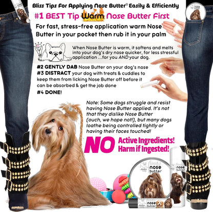 The Blissful Dog Havanese Nose Butter for Dry, Cracked Skin, Lick-Safe Dog Nose Balm with Moisturizing Shea Butter, Almond, Olive, and Essential Oils, Pet Supplies, Uncented, 8 oz.