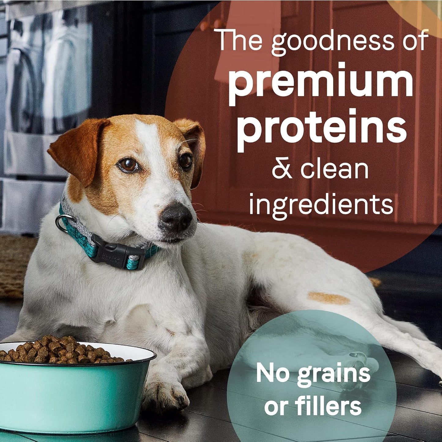 Canidae Pure Limited Ingredient Premium Adult Dry Dog Food, Real Lamb, Goat & Venison Meals Recipe, 12 lbs, Grain Free
