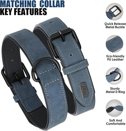 Didog Soft Padded Leather Dog Collar and Leash Set, Adjustable Dog Leash and Collar Set with Metal Buckle, Breathable Dog Collars with 4FT PU Leather Dog Leash for Small Medium Dogs, Blue, M