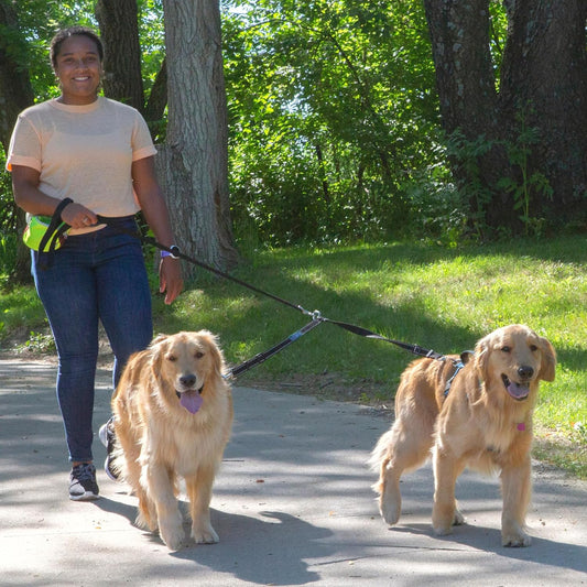 Caldwell's Pet Supply Co. Leash Coupler, Two Dog Leash Splitter to Split Leashes for Walking 2 Dogs, Tangle Free Double Dog Leashes Connector, Adjustable Attachment for Small or Medium Dogs