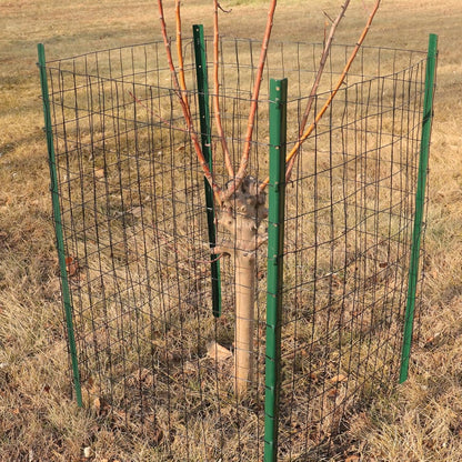 Black PVC Coated Welded Wire Fence 36 Inch x 50 Foot, 2 Inch x 3 Inch 16GA, Garden Border Fencing Roll Vinyl Coating Metal Wire Mesh for Yard Vegetable Plant Protection Poultry Netting