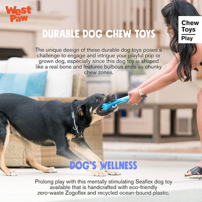 WEST PAW Seaflex Drifty Dog Toy – Machine Washable Dog Toys for Moderate Chewers – Eco-Friendly Zogoflex Toys for Dogs – Perfect for Gnawing, Fetch, Catch, Pet Training – 8.5" Large, Emerald