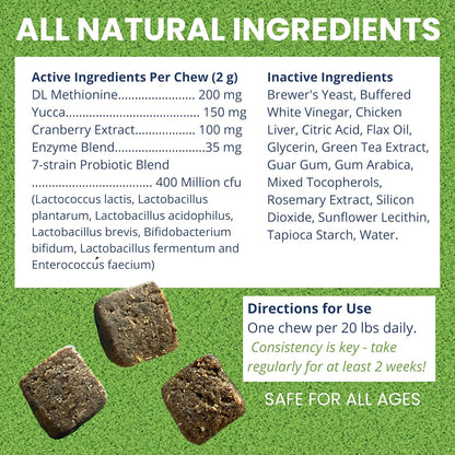 Under the Weather Nice Grass Chews for Dogs | Digestive Enzymes for Dogs | Canine Urine Neutralizer for Grass | Probiotics for Digestive Health | Vet Formulated Lawn Care Supplement | 60 Count