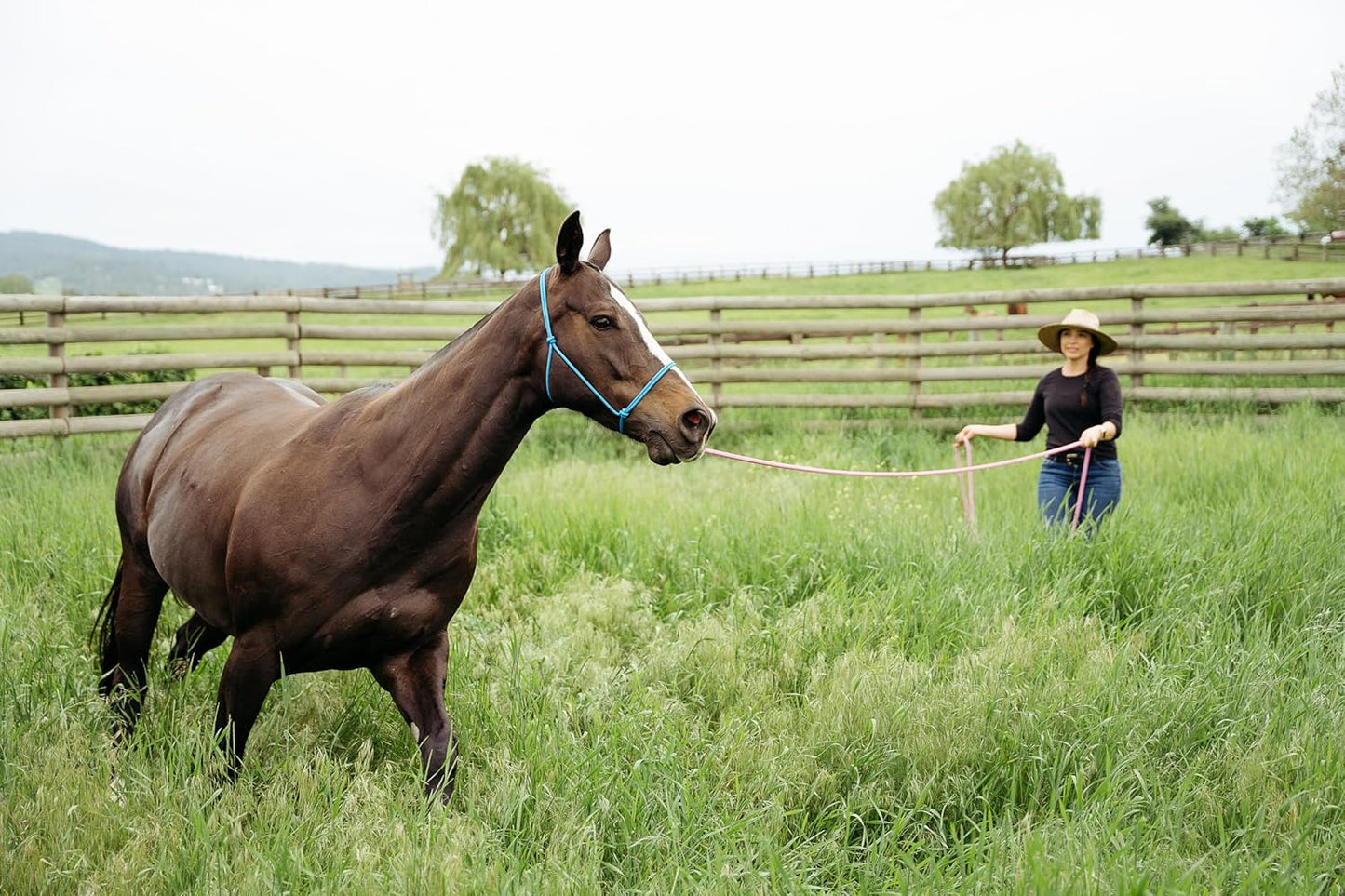 22' Long Line with SS O Ring and Carabiner (Pink)