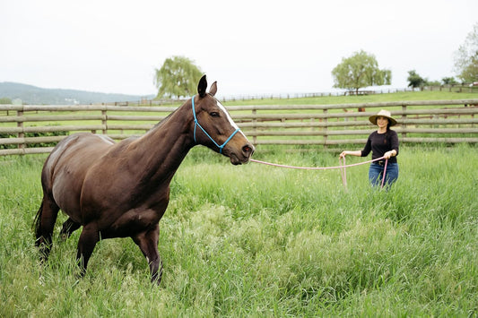 22' Long Line with SS O Ring and Carabiner (Burgundy)