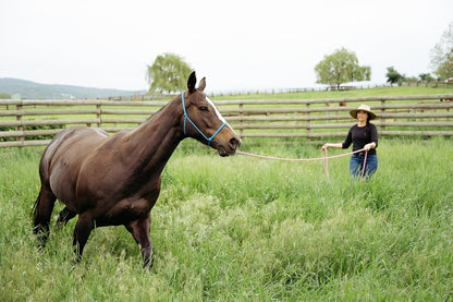 22' Long Line with SS O Ring and Carabiner (Burgundy)