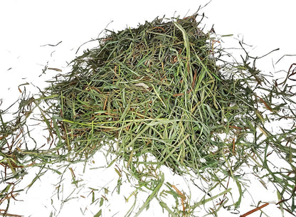 High Desert 2nd Cutting Timothy Grass Hay for Guinea Pigs, Rabbits, and More Small Animal Pets (16 lb)
