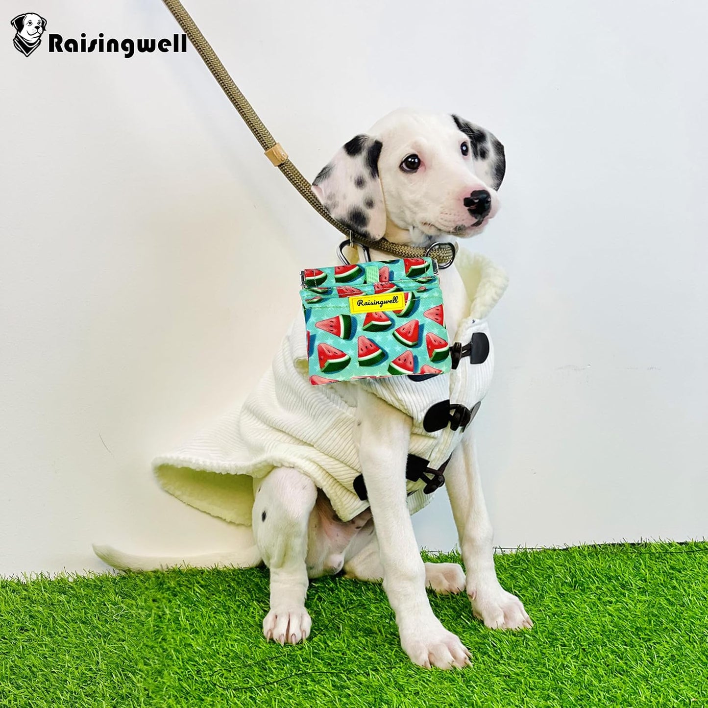 Dog Treat Pouch,Cotton Pocket Sized Training Holder, Hand Free Walking Funny Bag with Carabiner, Self-Closing Pet Feed Snack Reward, Behavior Aids for Puppy Travel or Outdoor Use（Watermelon）