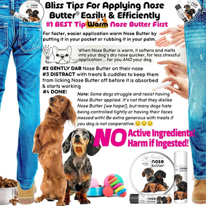 The Blissful Dog Daschund Nose Butter for Dry, Cracked Skin, Lick-Safe Dog Nose Balm with Moisturizing Shea Butter, Almond, Olive, and Essential Oils, Pet Supplies, Uncented, 0.50 oz.