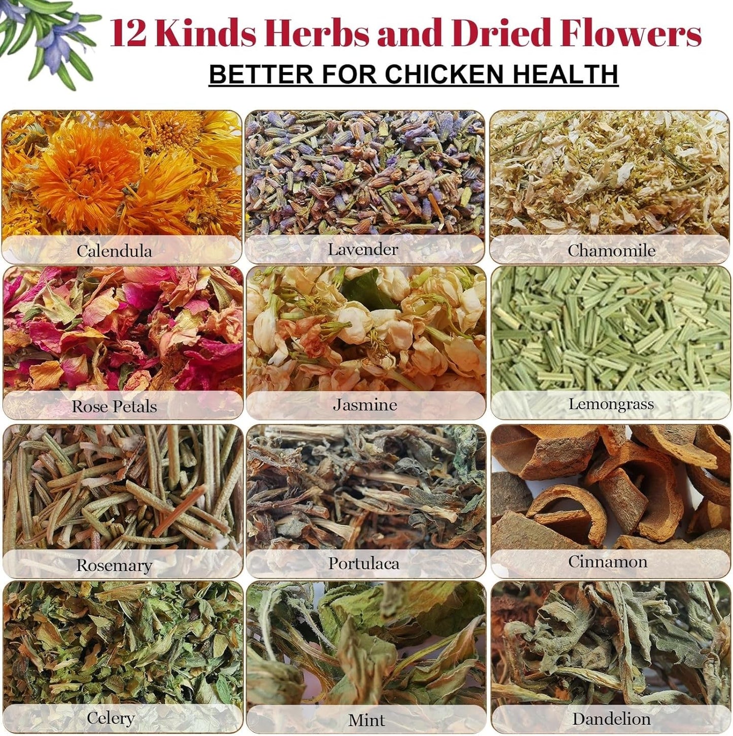 21 oz Chicken Nesting Herbs Flowers - 1.3lb Poultry Blend Herbs 12 Premium Nesting Box Herbs for Chicken Coop Refresher Boost Egg Laying Hens Herb Supplement for Backyard