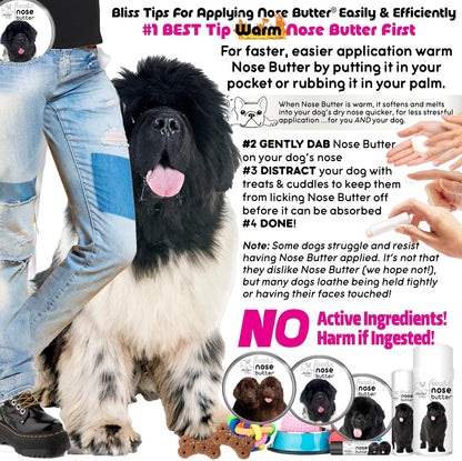 The Blissful Dog Newfoundland Unscented Nose Butter - Dog Nose Butter, 0.50 Ounce