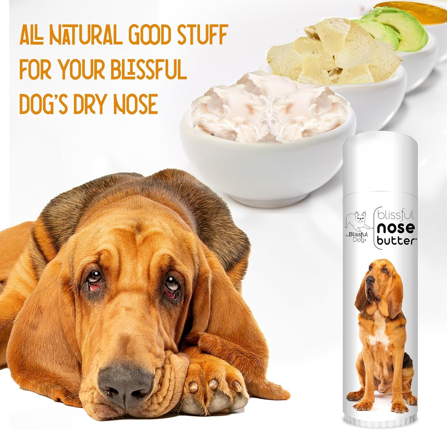 The Blissful Dog Bloodhound Nose Butter for Dry, Cracked Skin, Lick-Safe Dog Nose Balm with Moisturizing Shea Butter, Almond, Olive, and Essential Oils, Pet Supplies, Uncented, 0.50 oz.