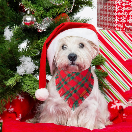 ADOGGYGO Christmas Dog Bandanas with Tassels, Red Green Plaid Pet Xmas Scarf Bib, Multiple Sizes, Christmas Bandana for Small Dogs Puppies (Small)
