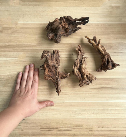 Small Natural Driftwood for Aquarium Styling Carefully Selected Natural Aquarium Decor Driftwood for Reptile Tank Reptile Tank Wood Decor (Driftwood 6-8inch 4pcs)