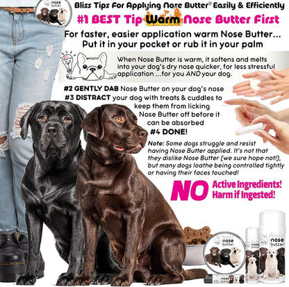 The Blissful Dog Labrador Retriever Unscented Nose Butter - Dog Nose Butter, 16 Ounce