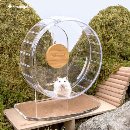 Niteangel Super-Silent Hamster Exercise Wheels: - Quiet Spinner Hamster Running Wheels with Adjustable Stand for Hamsters Gerbils Mice Or Other Small Animals (S, Transparent)