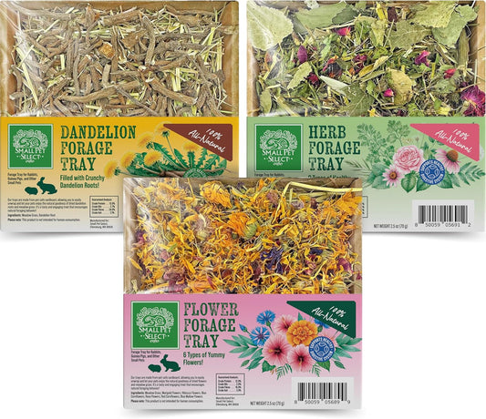 Small Pet Select Forage Tray Bundle, 3 Pack of Foraging Trays for Rabbit, Guinea Pig, Hamster or Bunny - Natural Treats, Dandelion, Flower, Herb Mix 2.5oz Each