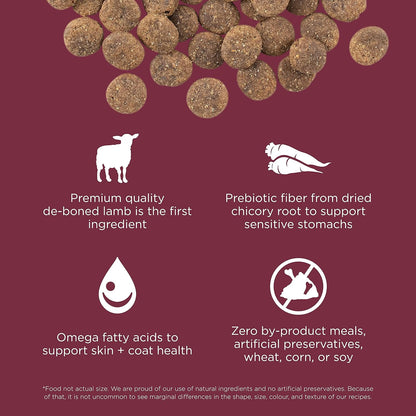 Go! Solutions Sensitivities Limited Ingredients, Grain-Free Dry Dog Food, Lamb Recipe for Sensitive Stomach, 12 lb Bag