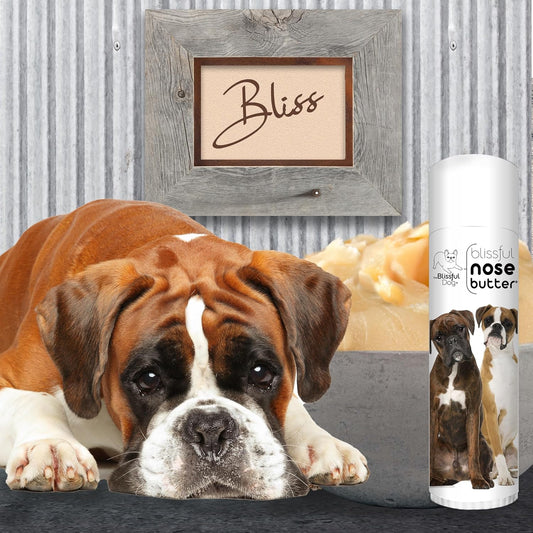 The Blissful Dog Boxer Duo Nose Butter for Dry, Cracked Skin, Lick-Safe Dog Nose Balm with Moisturizing Shea Butter, Almond, Olive, and Essential Oils, Pet Supplies, Uncented, 0.50 oz.