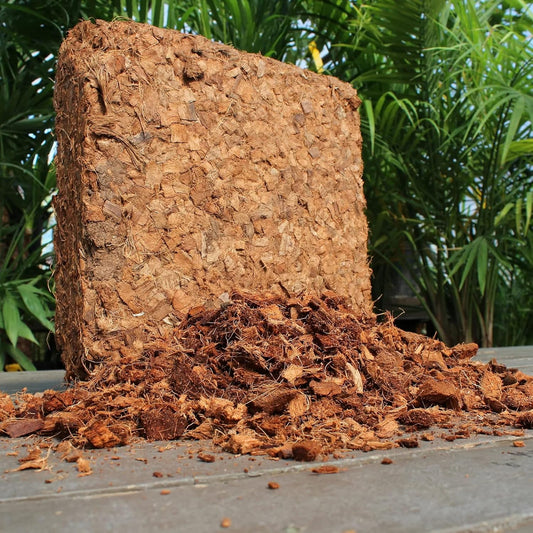 Organic Coco Chips for Plants (10lbs) - Coco Coir Chips - Coconut Husk Chips for Potting Soil, Garden Soil, & Seed Starter Soil - Coconut Mulch for Garden - Compressed Coconut Chips for Plants