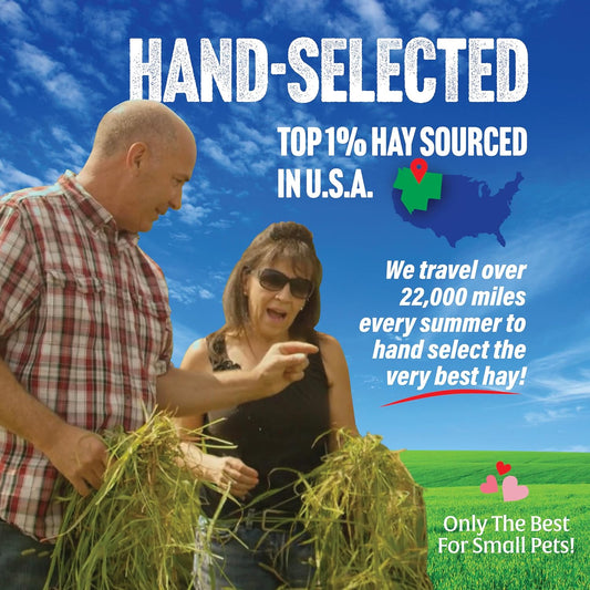 Small Pet Select 1st Cutting Timothy Hay, Animal Food for Guinea Pig, Rabbit, Hamster, Bunny, or Chinchilla, Natural Hay Grown in the USA, 5lb