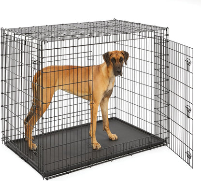 MidWest Homes for Pets Solutions Series XXL Double Door 54-Inch Dog Crate for the Largest Breeds, Sturdy Drop Pin Assembly, Black E-Coated, SL54DD