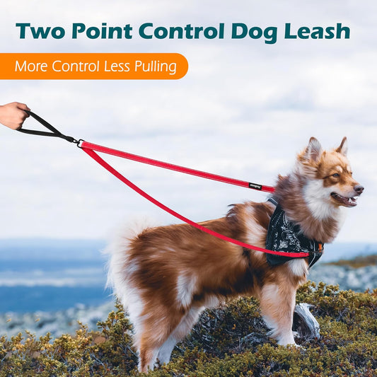 PetBonus Two Point Control Dog Leash, Works with No Pull Harnesses, No Tangle Dog Training Leashes, No Pull Padded and Reflective Walking Lead,Converts to Single Leash for Medium Large Dogs (Red)