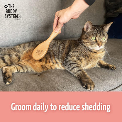 The Buddy System Cat Brush with Boar Bristle and Wooden Handle, Professional Grade Daily Grooming Hairbrush, Reduce Shedding, Soft Hair and Healthy Shine (1 Pack)