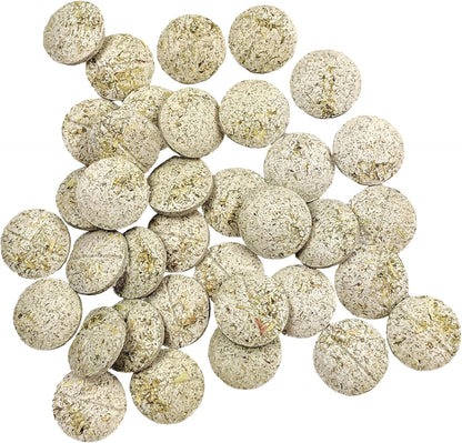 Oxbow Animal Health Papaya Support, High Fiber Digestive Supplement for Rabbit & Guinea Pig, Made with Timothy Hay, Includes Papaya, Pineapple, Papain, & Bromelain, Made in USA, 1.16 oz Bag