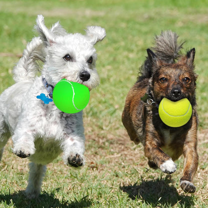 Large Dog Tennis Balls, 4 inch Interactive Big Dog Toy Ball for Small Medium Large Dogs, 4-Pack Dog Toys for Outdoor/Indoor Sports, Fetch, Training & Play