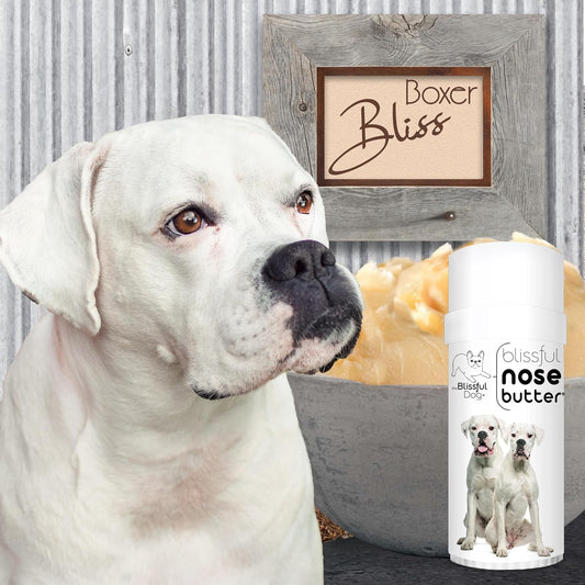 The Blissful Dog White Boxer Unscented Nose Butter, 2 oz Tube