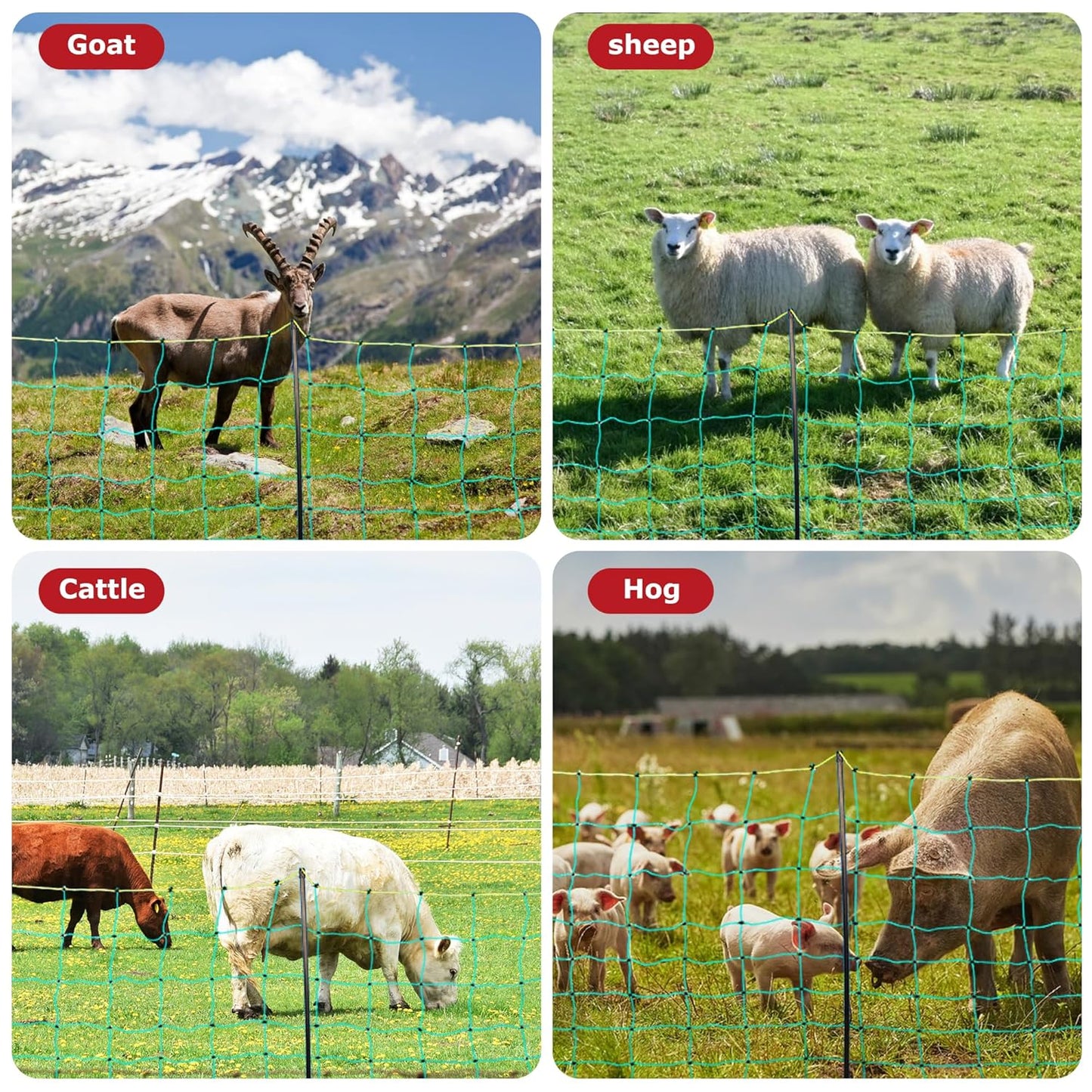 Electric Fence Netting, 164'L x 47.2" H Electric Chicken Fence Kit for Livestock, Farms, Backyards, Garden, Assembled Double Spiked Portable Electric Poultry Farm Fence