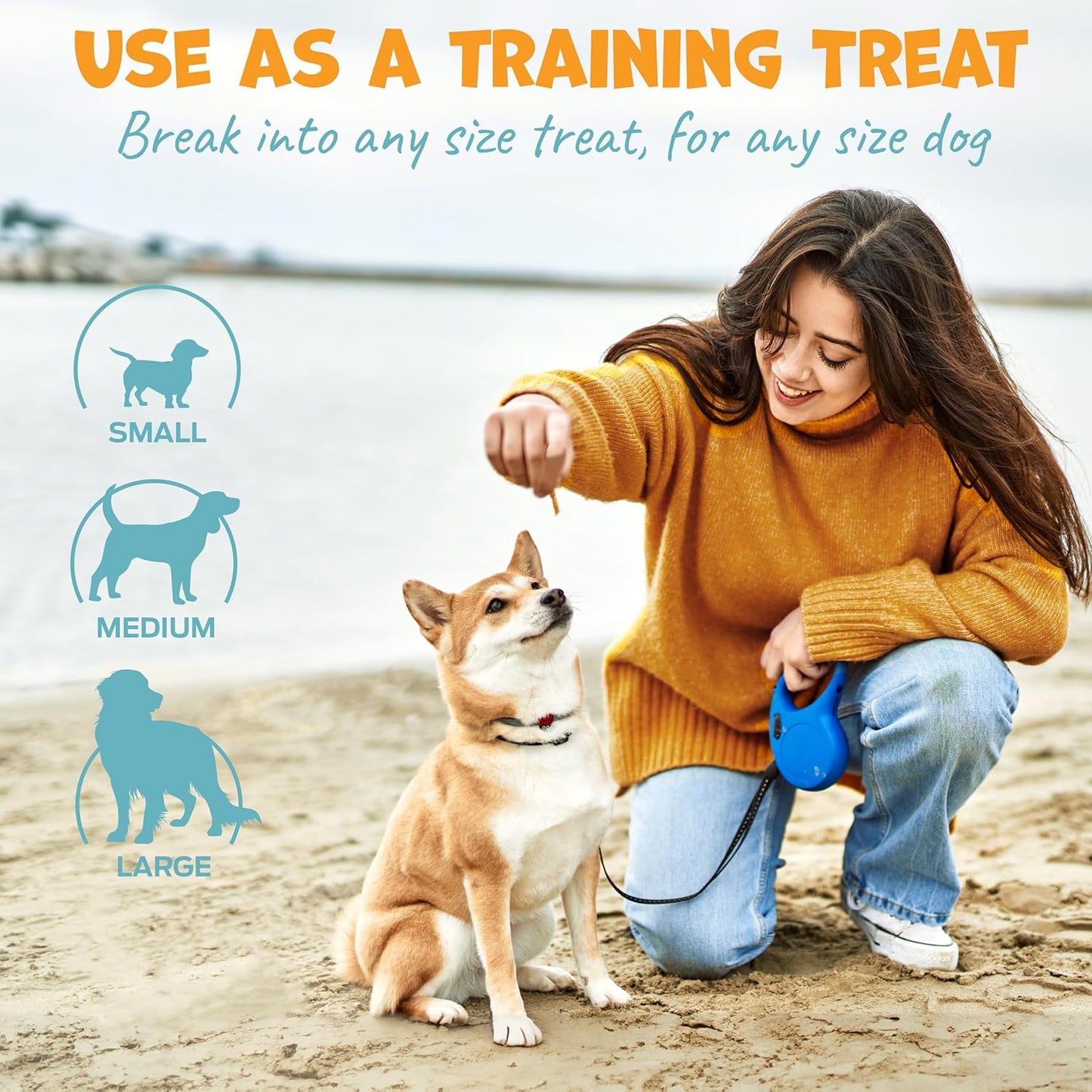 Chicken Sticks for Dogs - Dehydrated Chicken Jerky Treats. Single Ingredient Made and Sourced in America - High Protein, Low Fat - Crunchy Treat Sticks - 6.2oz