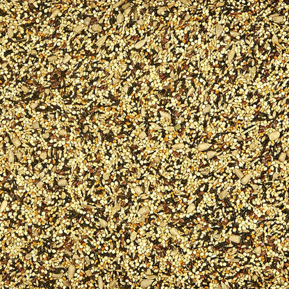 Kaytee Wild Bird Finch Food Blend, 3 lb (Pack of 2)
