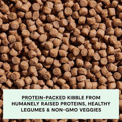 Open Farm, Grain-Free Dry Dog Food, Complete & Balanced Kibble, Sustainably & Ethically Sourced Ingredients, Non-GMO Veggies & Superfoods to Support Overall Health, Turkey and Chicken Recipe, 22lb Bag