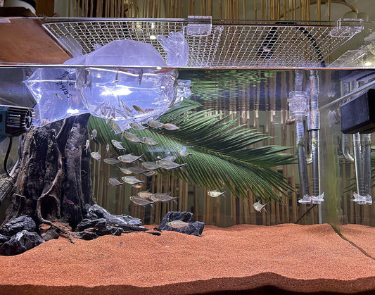 11lb Natural South American Rainforest Sand, Aquarium red Sand, Lava Rock Soil, Red Lava Rock Sand, Succulent Sand Fish Tank Sand Aquarium Substrate Sand