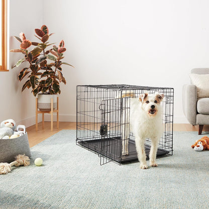 Amazon Basics Durable, Foldable Metal Wire Dog Crate with Tray, Double Door, 36 x 23 x 25 in, Black