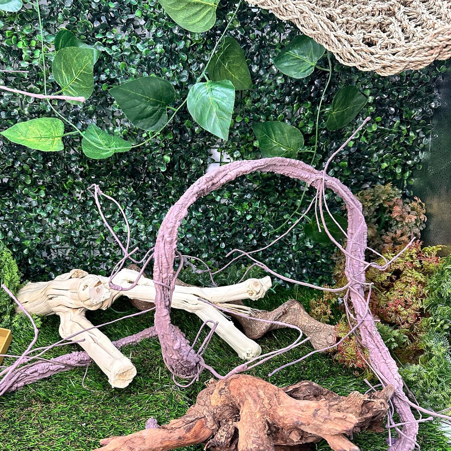VCEPJH Large Reptile Vines Thick Terrarium Plants 118 Inches Long Flexible Climbing Branch Snake Tank Accessories Greenery Habitat Decor for Bearded Dragon Chameleon Gecko Frog Lizard (L)